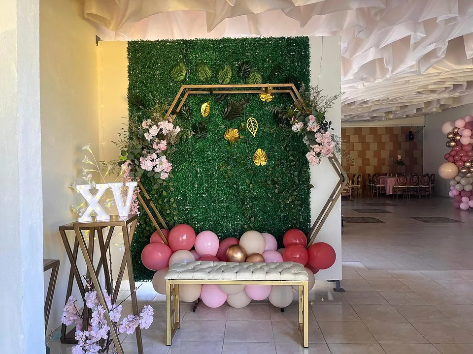 Entrada rosa de XV años en El Jardín de los Abuelos.